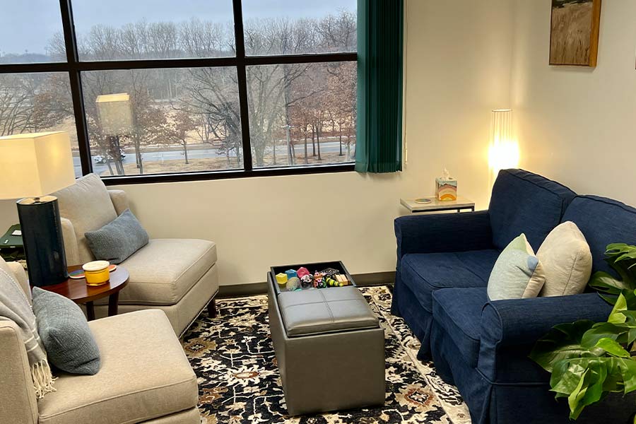 lisa-diers-client-area