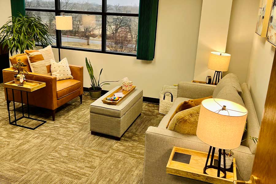 lisa-diers-client-office