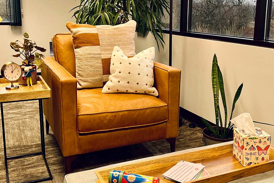 lisa-diers-office-area